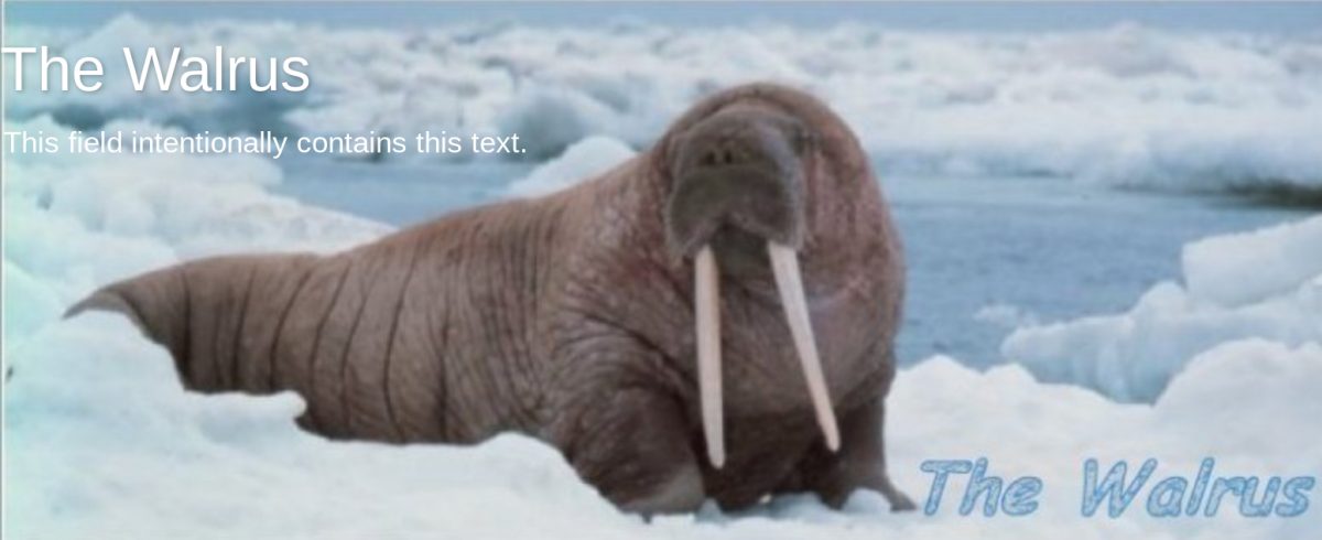 The Walrus Blog